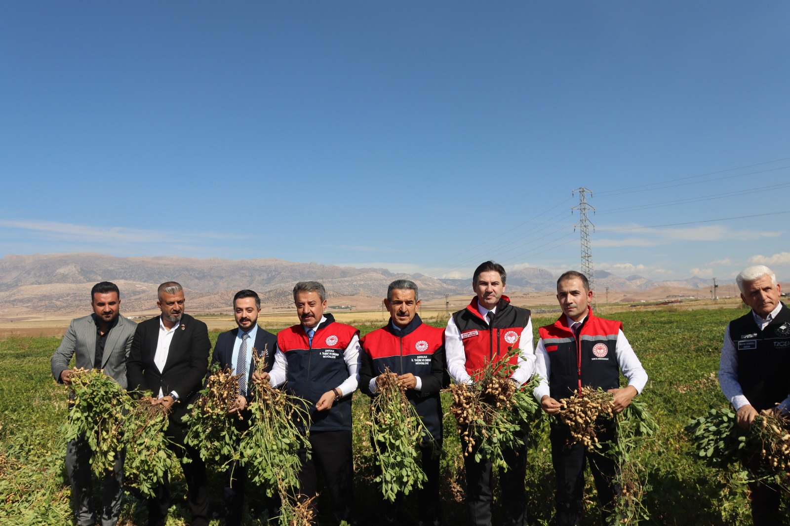 Silopi Yer Fıstığı Hasat Şenliği Düzenlendi 